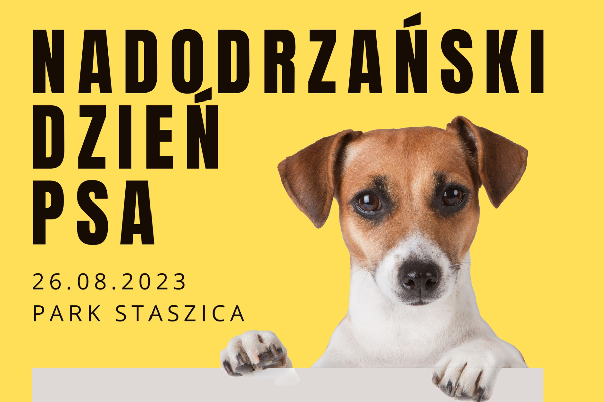 grafika promująca wydarzenie Nadodrzański Dzień Psa 2023 r.. Wizerunek psa  na żółtym tel oraz dodatkowy napis 26.08.2023 r. Park Stasica 